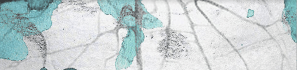 Screen Shot 2017-08-30 at 6.22.48 PM